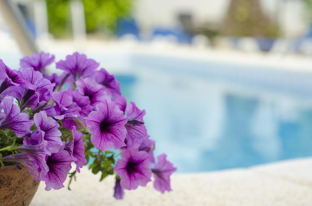 La Crisalida Retreats Apartman El Albir Kültér fotó